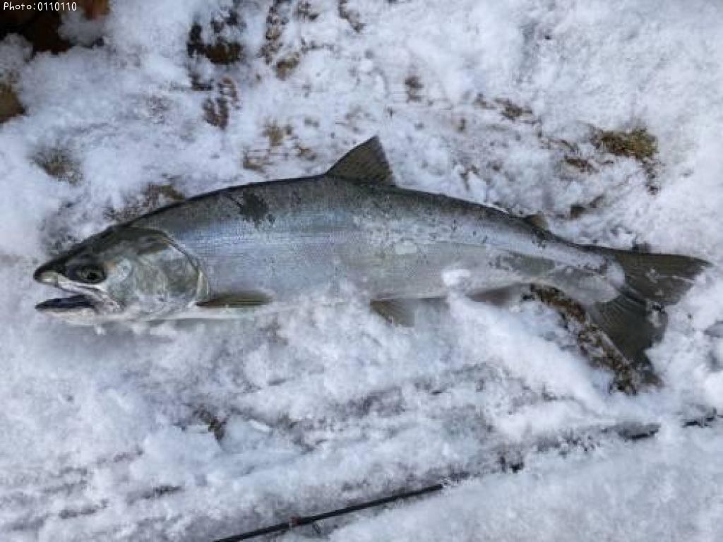 ������ޥ�