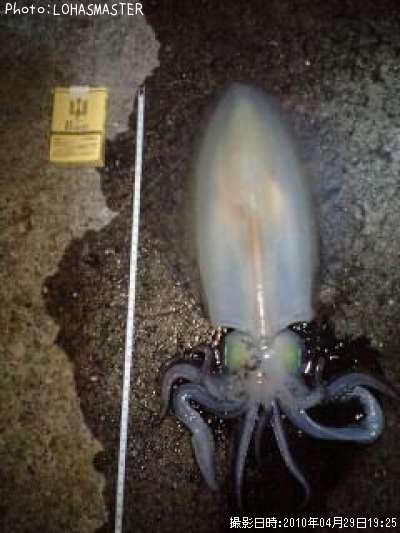 �����ꥤ��