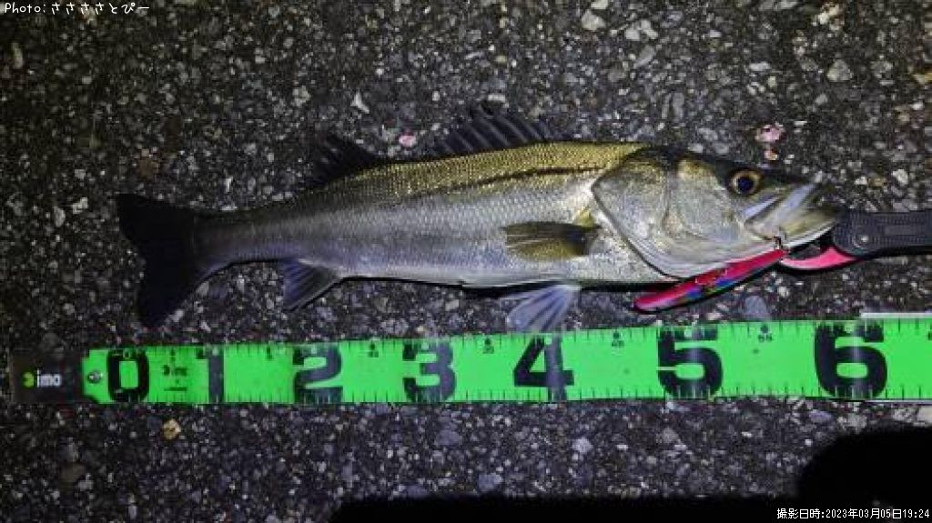 �����Х�