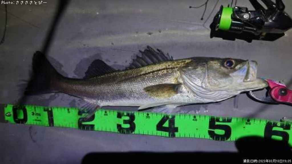 �����Х�