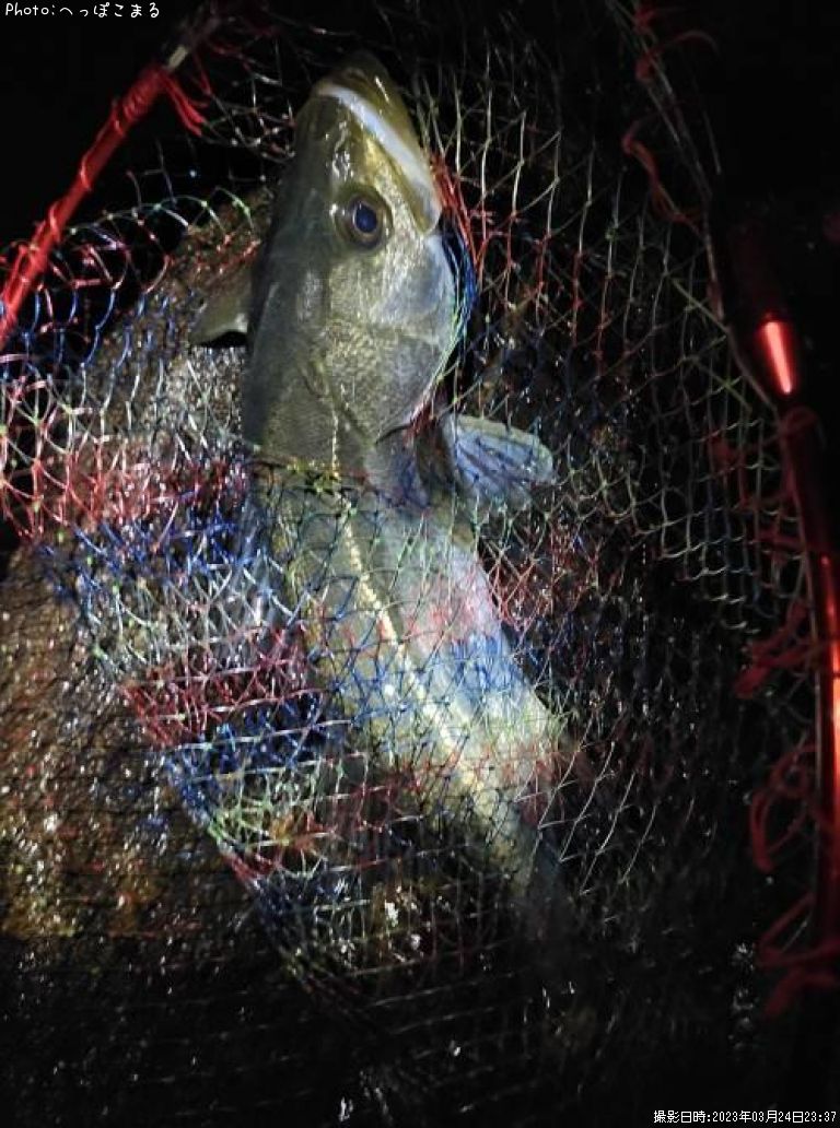 �����Х�