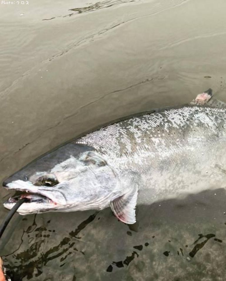 ������ޥ�