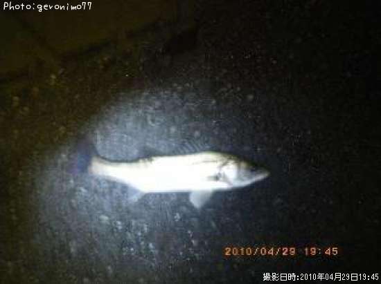 �����Х�