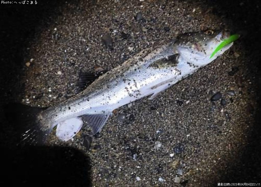 �����Х�