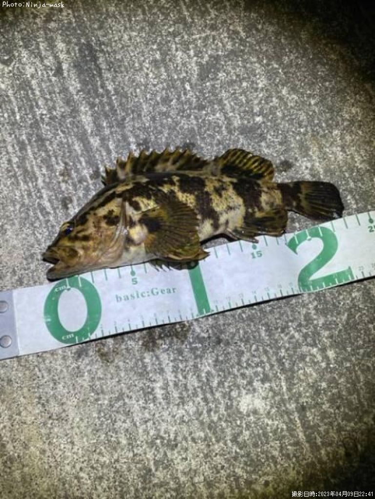 �����Υ���Х�