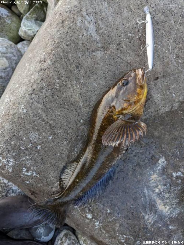 �����ʥ�