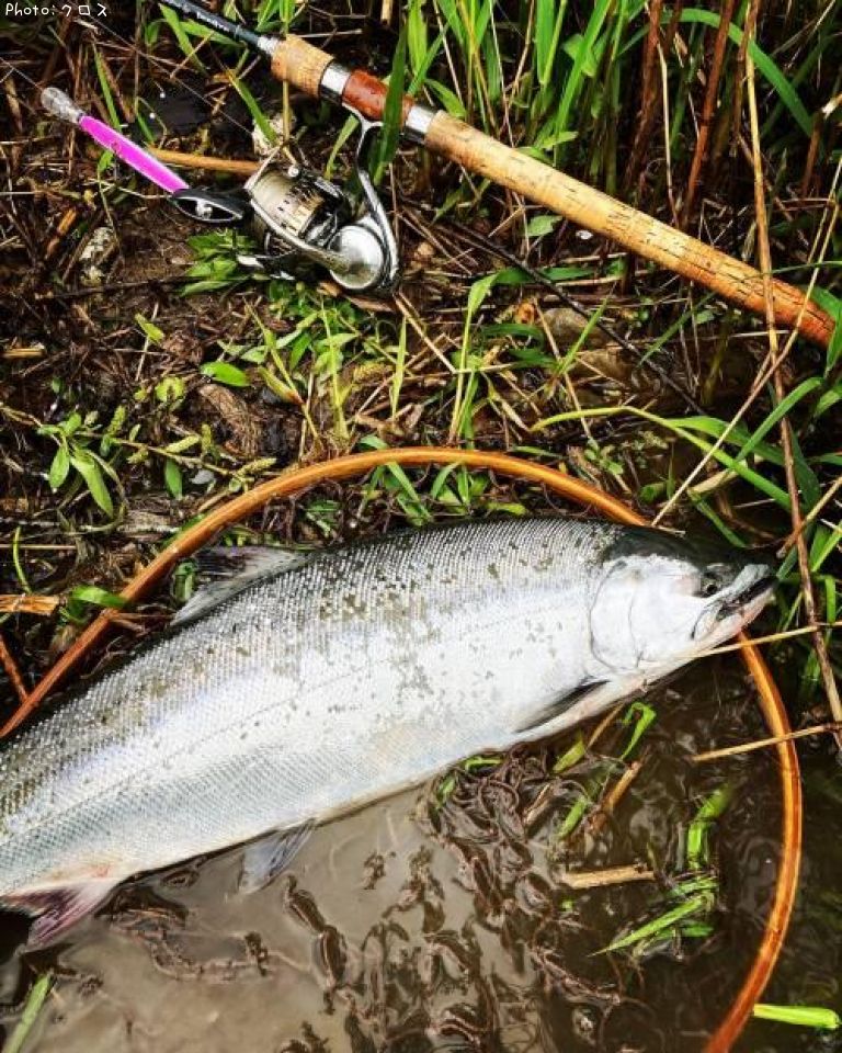 ������ޥ�