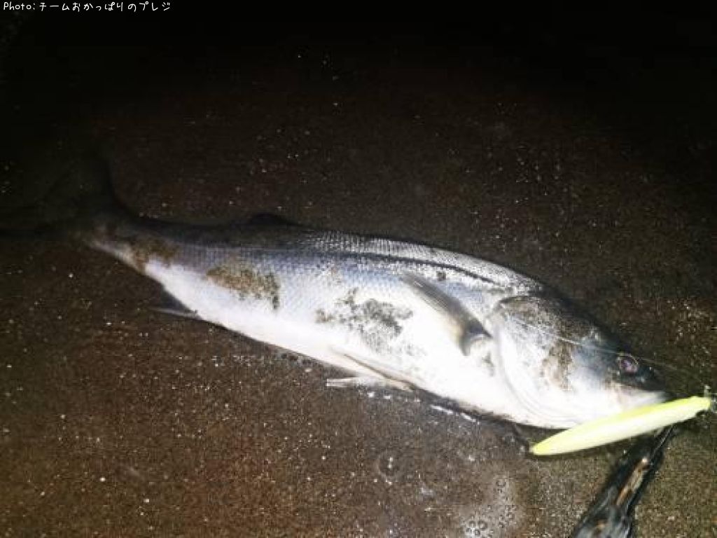 �����Х�