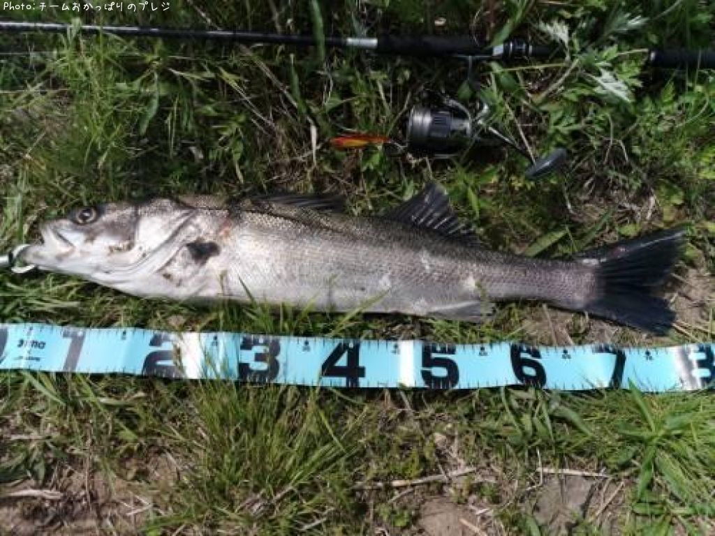 �����Х�