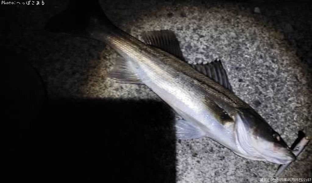 �����Х�