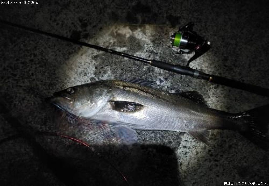 �����Х�