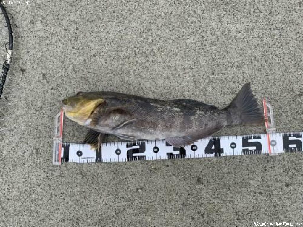 �����ʥ�