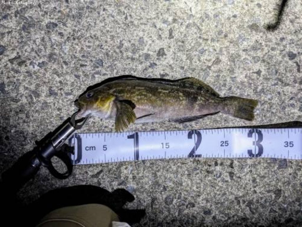 �����ʥ�