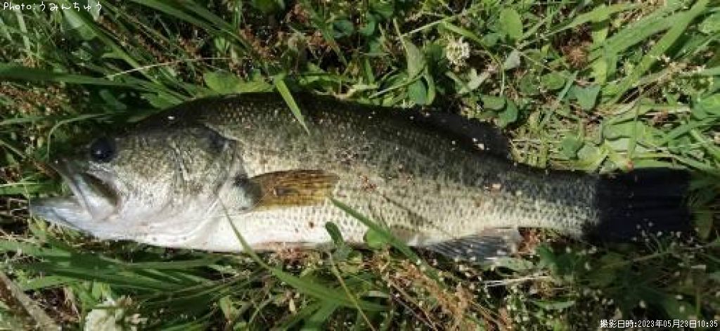 �֥�å��Х�