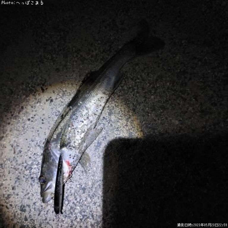 �����Х�