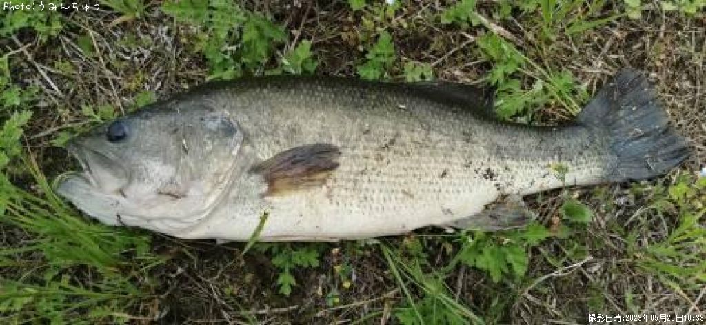 �֥�å��Х�