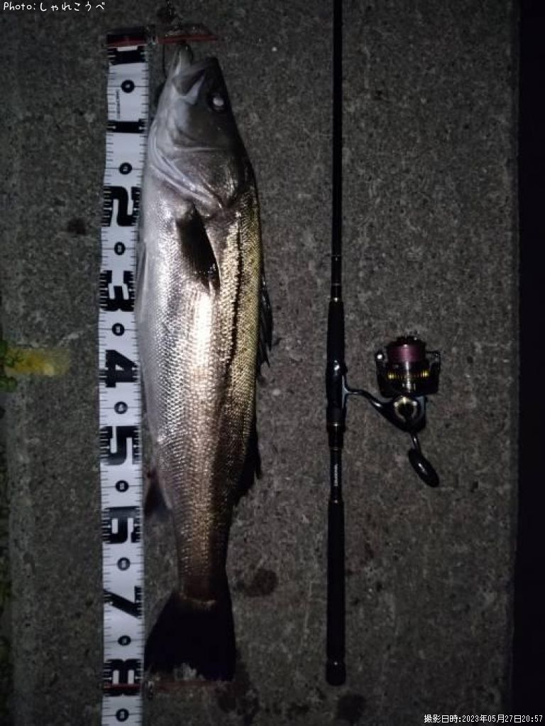 �����Х�