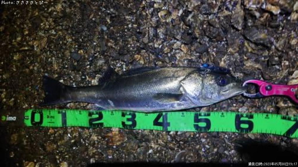 �����Х�