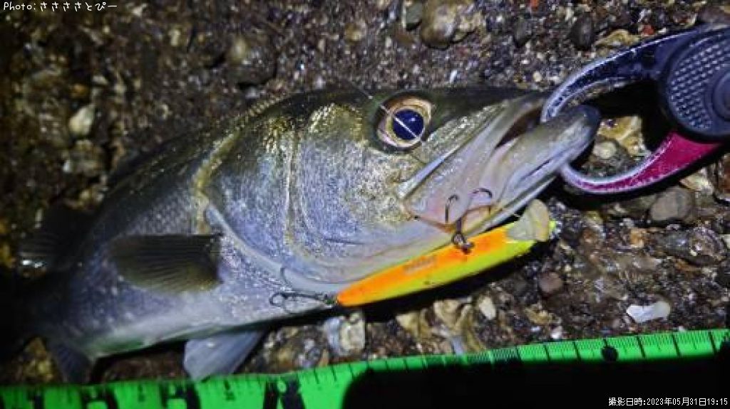 �����Х�