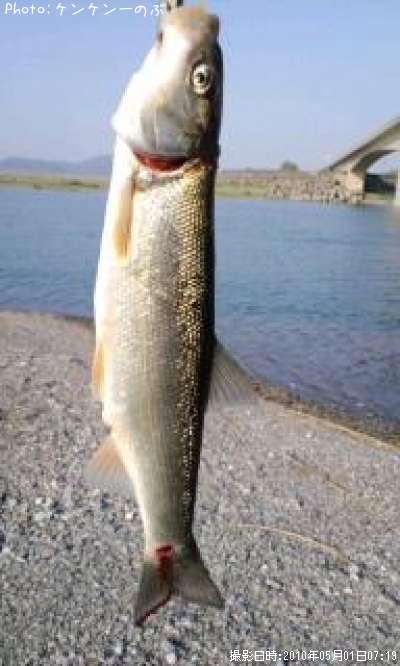 �����ʥ�������