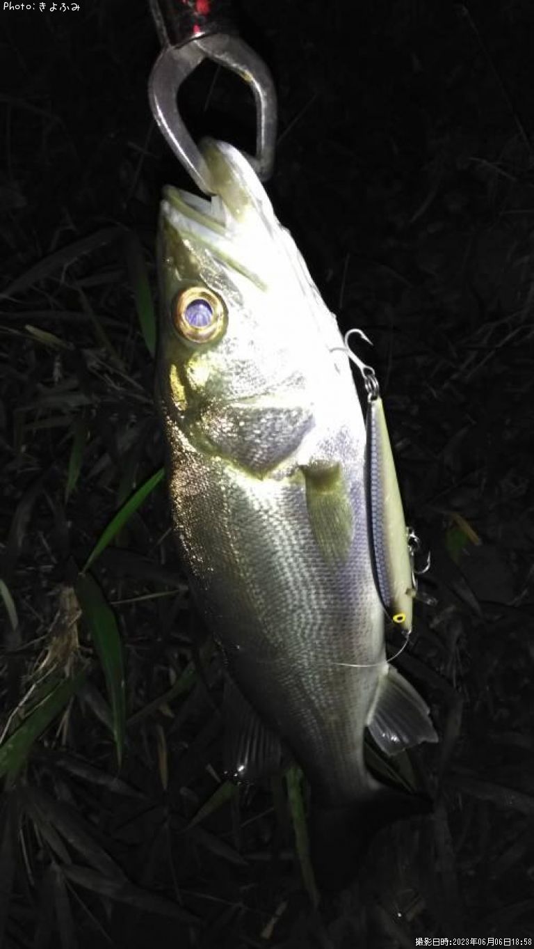 �����Х�