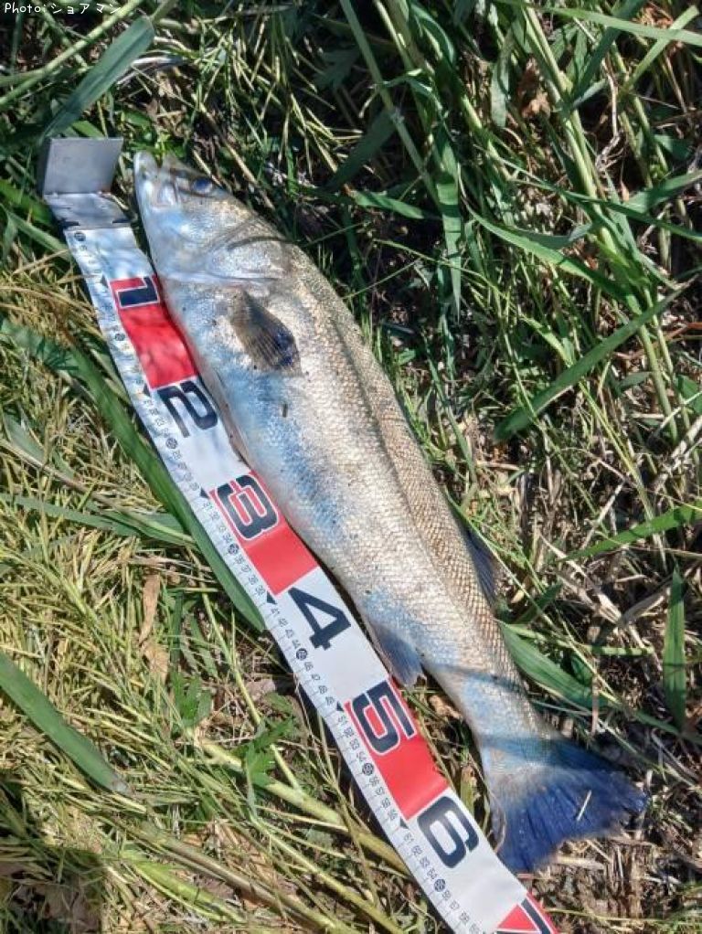 �����Х�