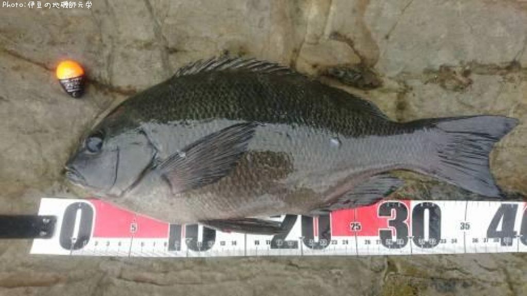 �����᥸��