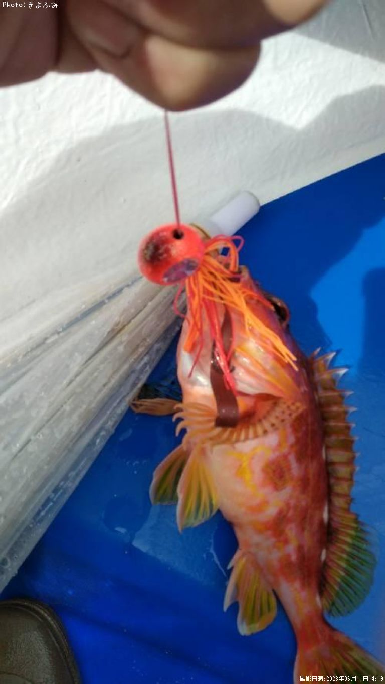 ��ᥫ����