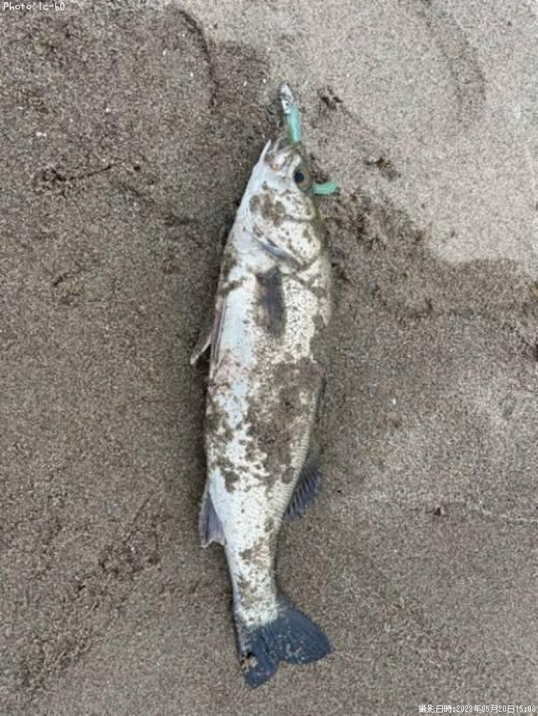 �����Х�