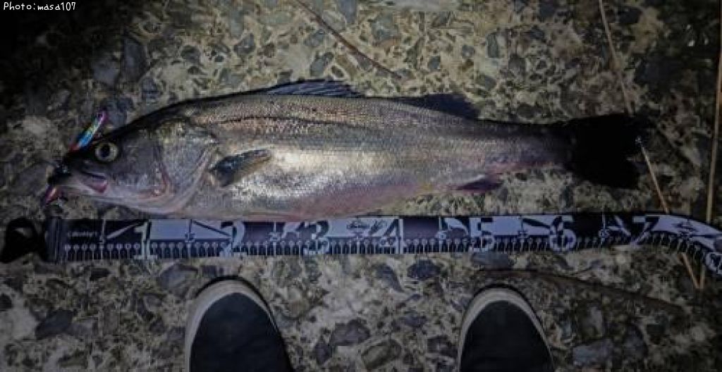 �����Х�