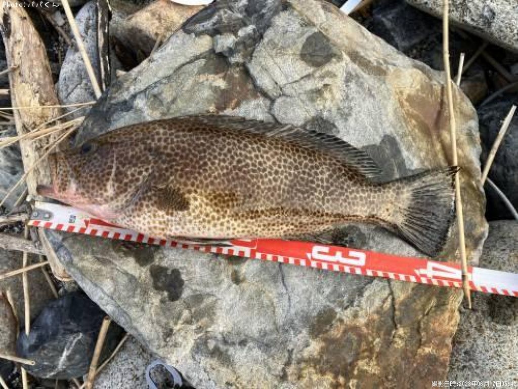 �������ϥ�