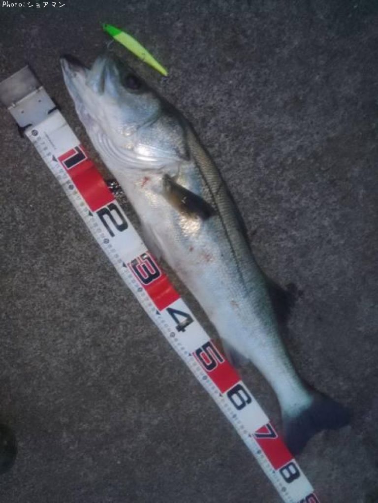 �����Х�