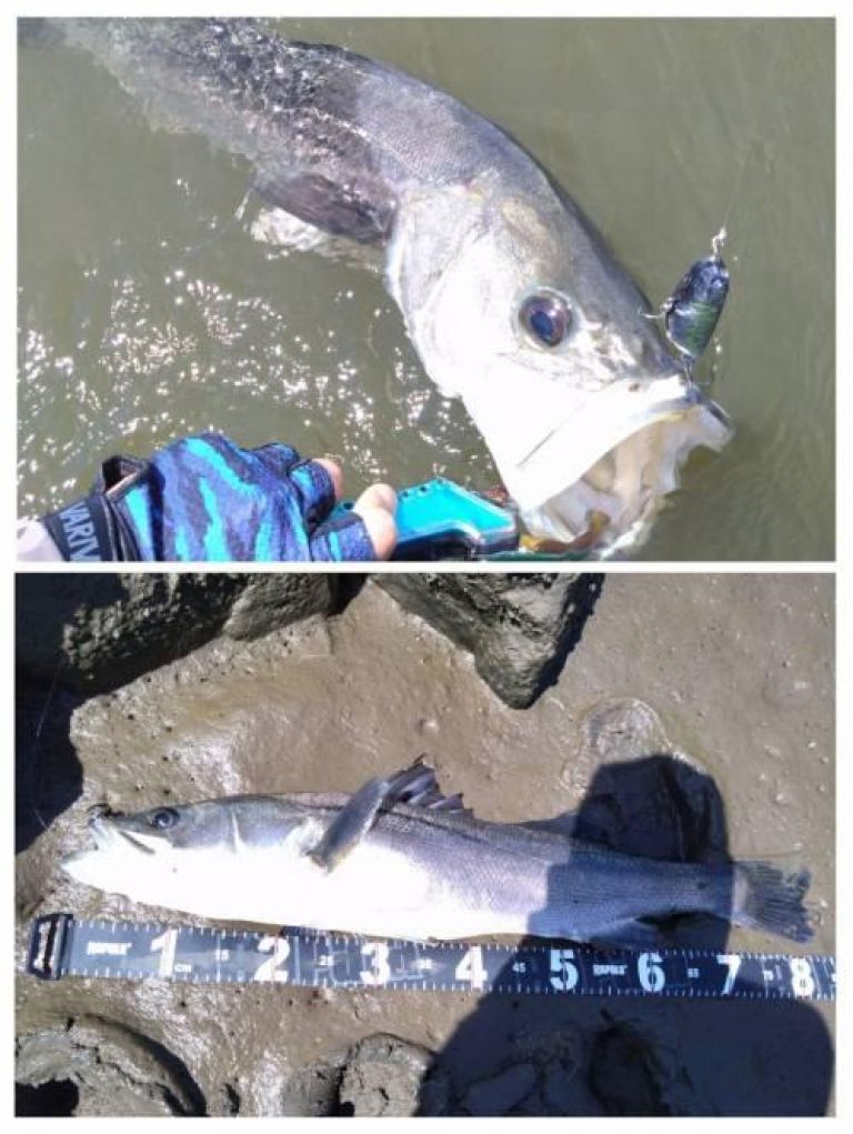 �����Х�