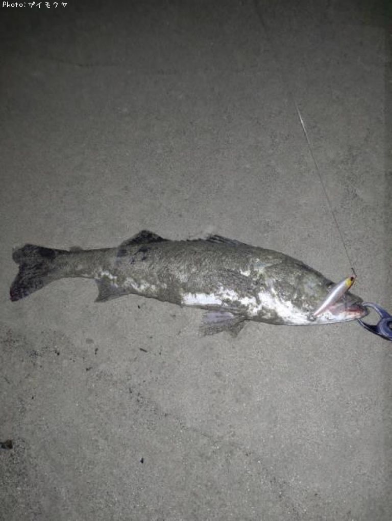 �����Х�