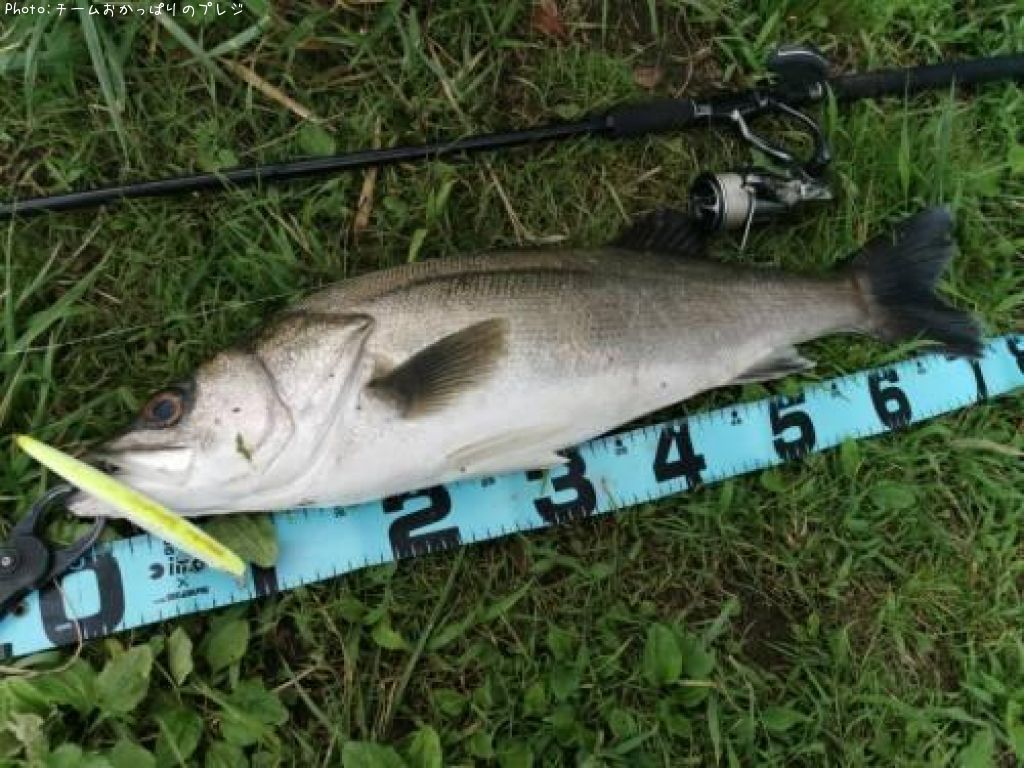 �����Х�