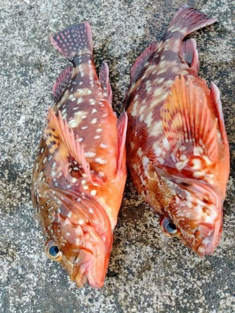 ���å���