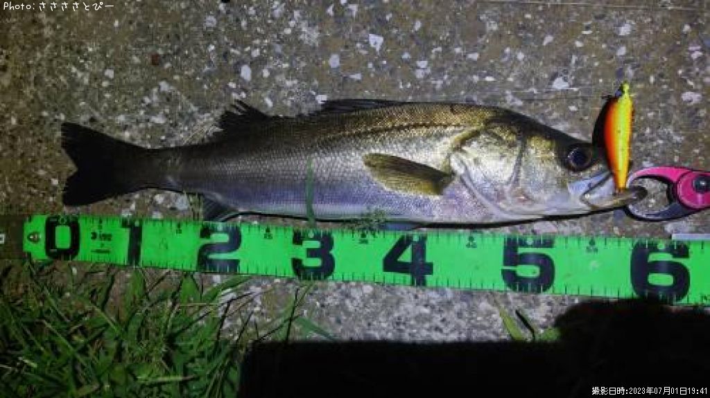 �����Х�