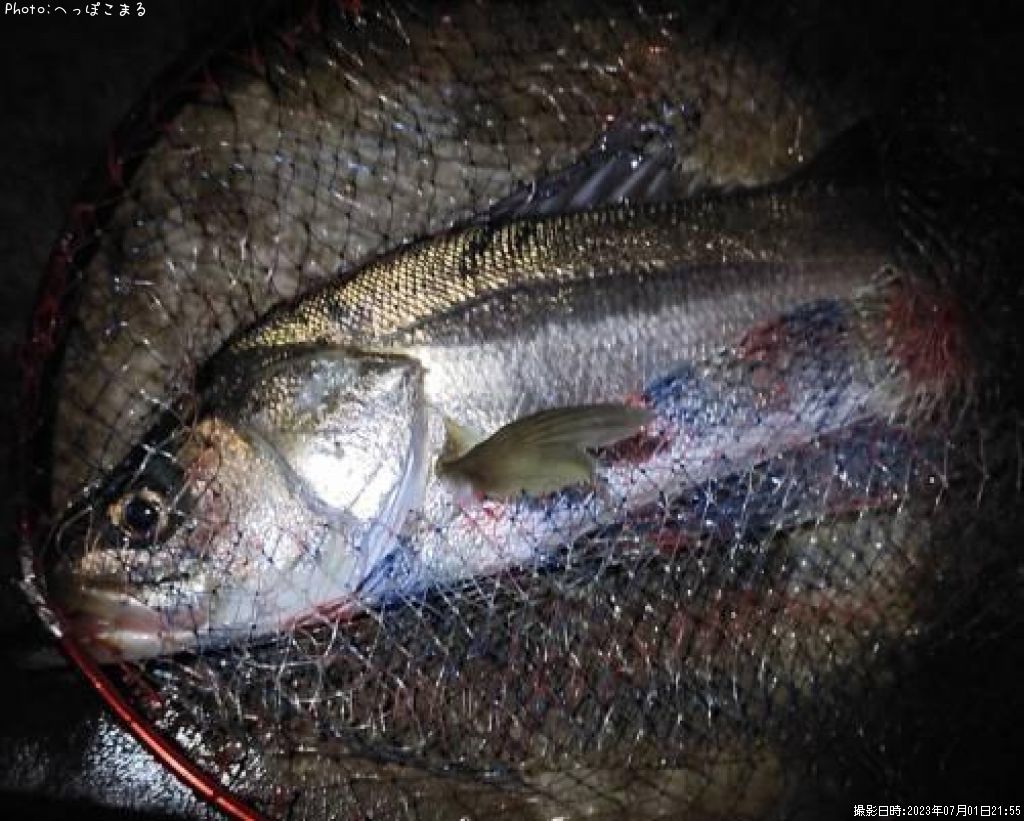 �����Х�