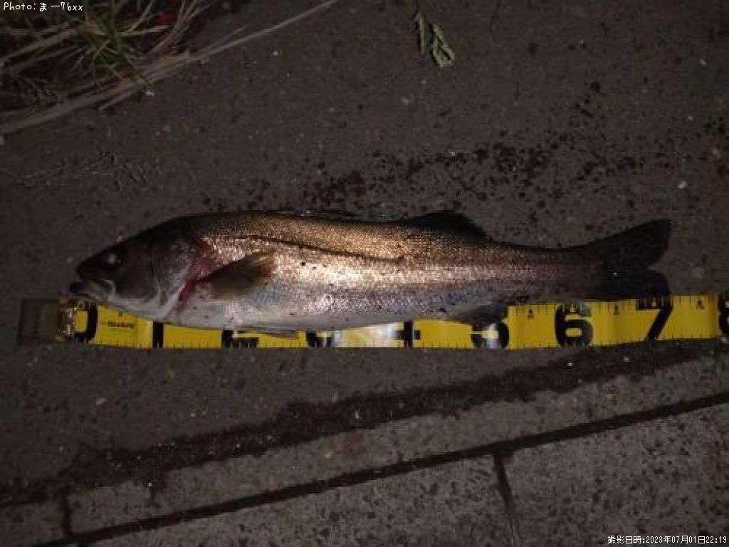 �����Х�