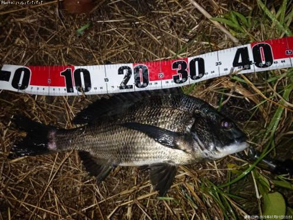 �����Х�����������