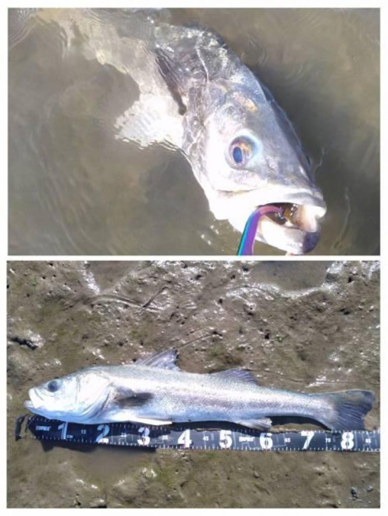 �����Х�