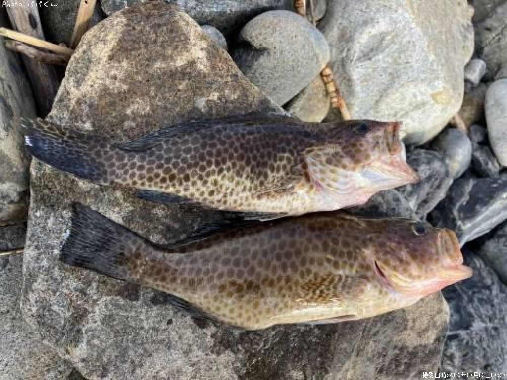 �������ϥ�