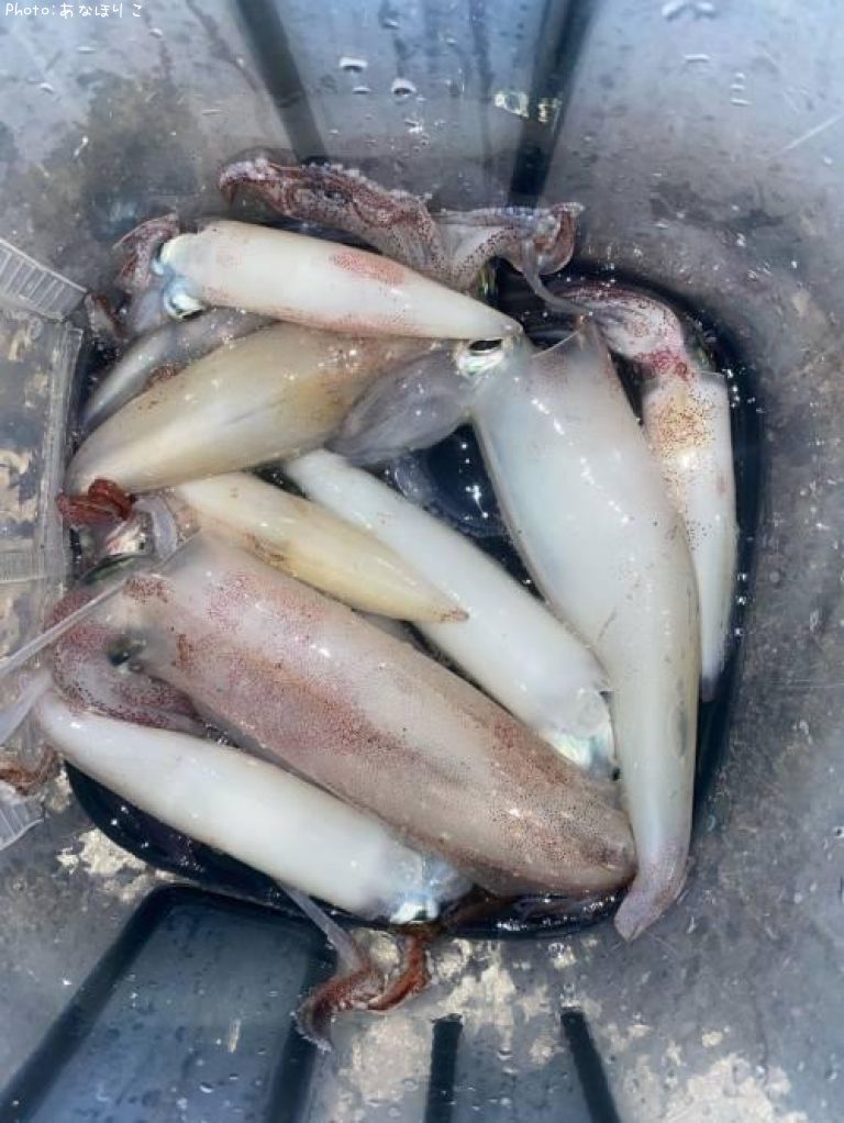 ���󥵥�����