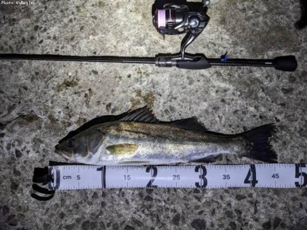 �����Х�