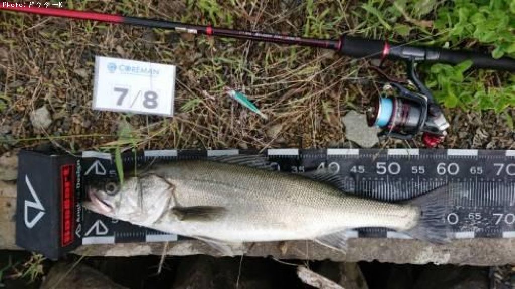 �����Х�