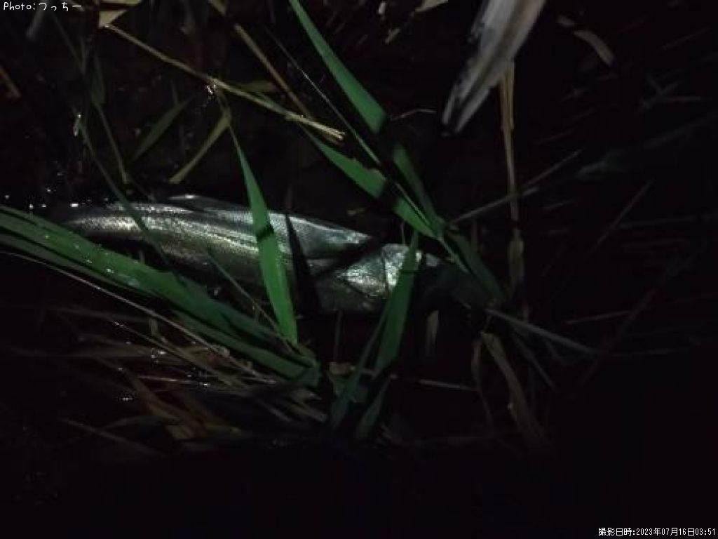 �����Х�