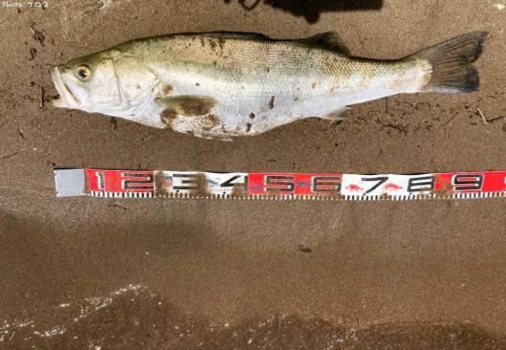 �����Х�