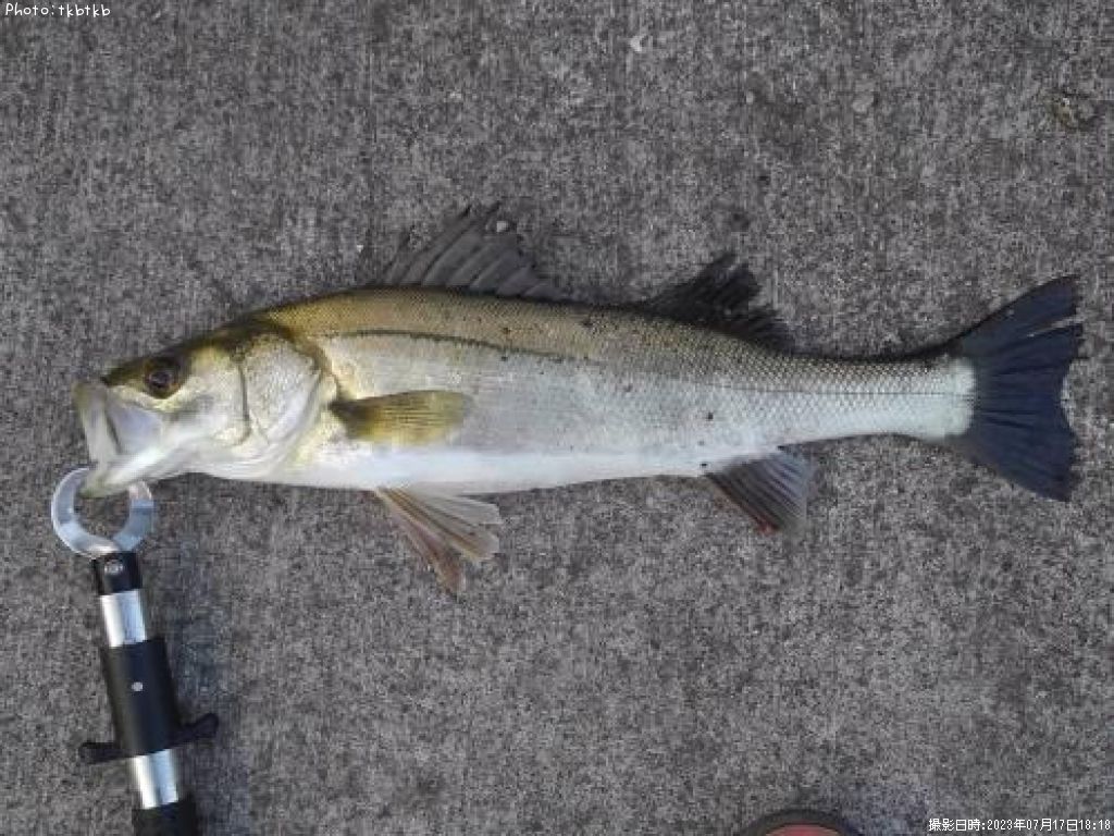 �����Х�