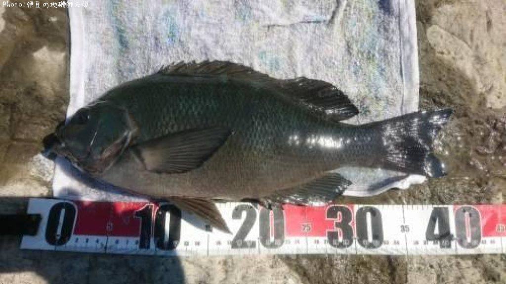 �����᥸��