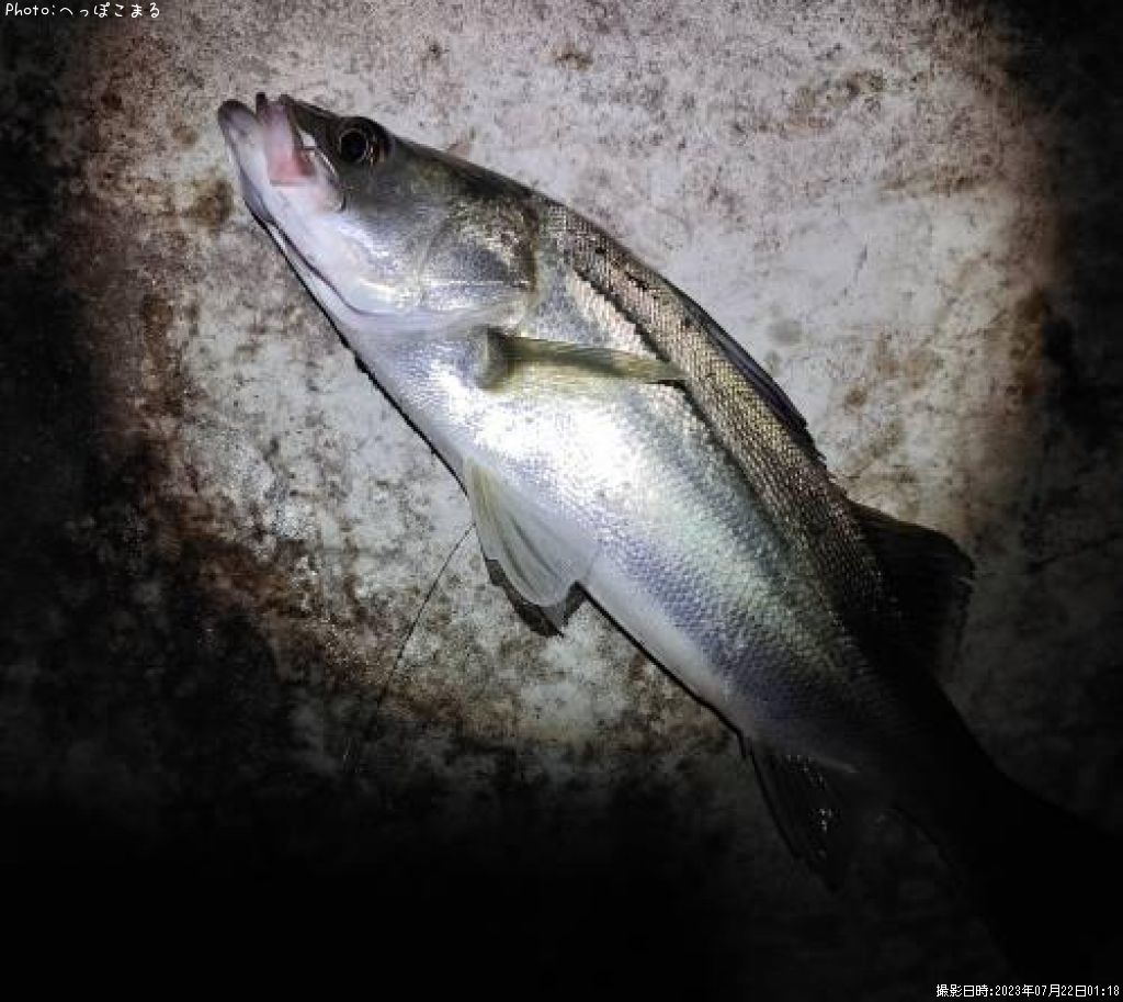 �����Х�